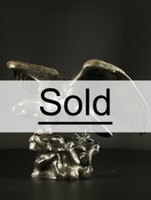 Antoine-Louis BARYE / AIGLE AILES ÉTENDUES, BEC OUVERT    - 3D VIDEO -