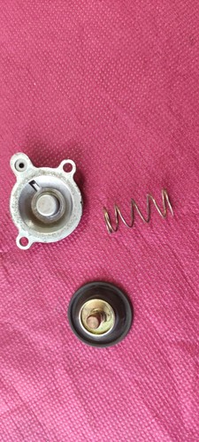 Membrane carburateur avec - membrane,