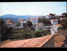 OLIVESE (CORSE) Quartier
