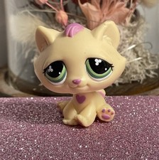 🌸Petshop Chat Gouttière