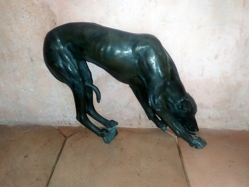 Grand levrier buvant bronze - en,