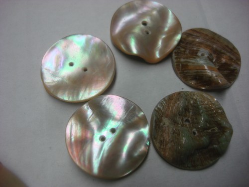 Ancien bouton abalone tordu - bouton,