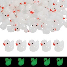 Canards Mini Résine Lumineux