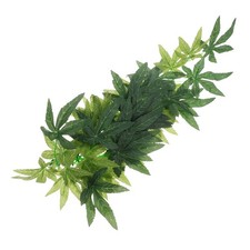  Décor Pour Terrarium