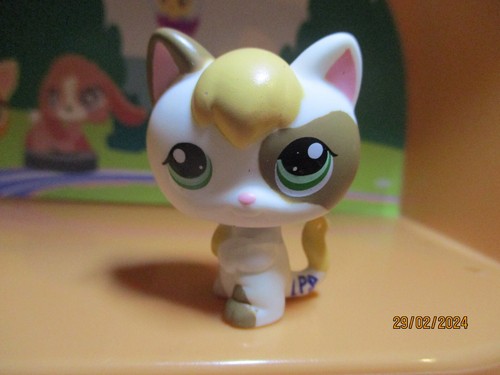 Petshop chaton 1461 - petshop, #1461