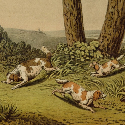 Henri alken chasse - henri,