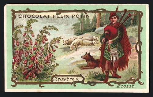 Image collection chocolat - image,