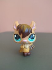 Littlest Petshop Lps Chauve