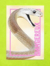 Carte incroyable animaux du