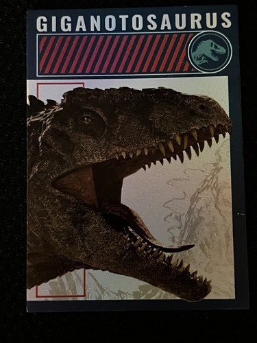 Card carte panini 2022 - panini,