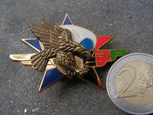Insigne parachutiste er - ,