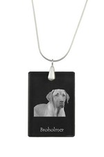 Chien noir et feu pour la