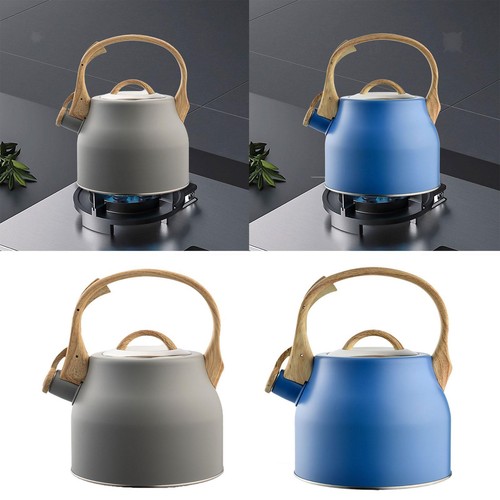 Bouilloire sifflante portable