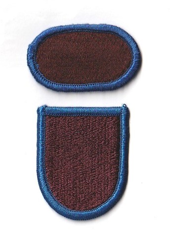 Oval beret flash - beret, operational