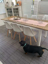 Ensemble de 4 chaises de salle