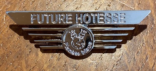Pin broche aviation - aviation, future