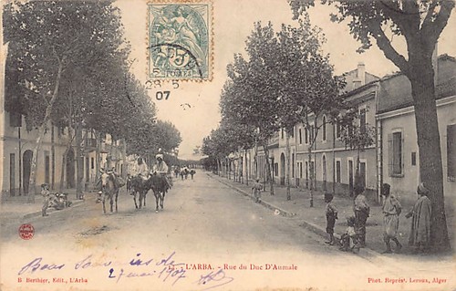 Algérie arba - el,