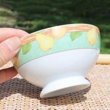 Bol en porcelaine de Limoges / Médard de Noblat modèle Marajo