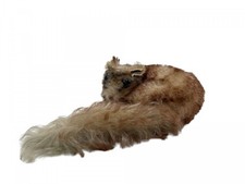 Steiff animal 2812.00 peluche