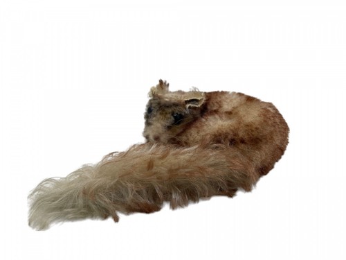 Steiff animal 2812 - .00, peluche