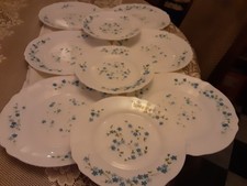 ARCOPAL ANNEES 70 FLEURS BLEUES 6 ASSIETTES PLATES ET 3 ASSIETTES A DESSERT