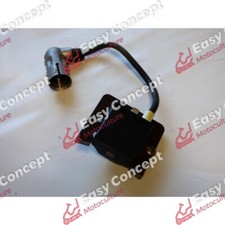 BOBINE ALLUMAGE - MOTEUR TECUMSEH FORMULA 11.5 HP (1)