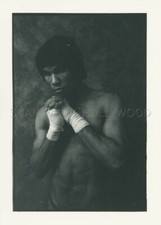 JAMES A. FOX MASCULIN MALE