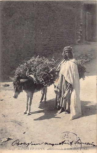 Algérie marchande de - de, bois