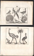 1833 deux gravures originales - 1833,