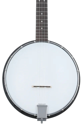 Gold tone acoustic - gold,