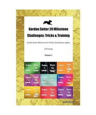 Gordon Setter 20 Milestone