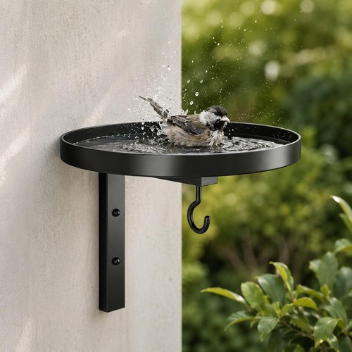 Bain oiseau fer noir - oiseau,