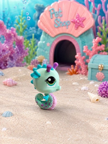 Pet shop hippocampe seahorse - hippocampe,