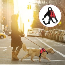  Harnais de chien de style