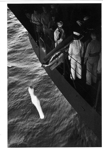 Ww2 photo carte - -, photo-carte