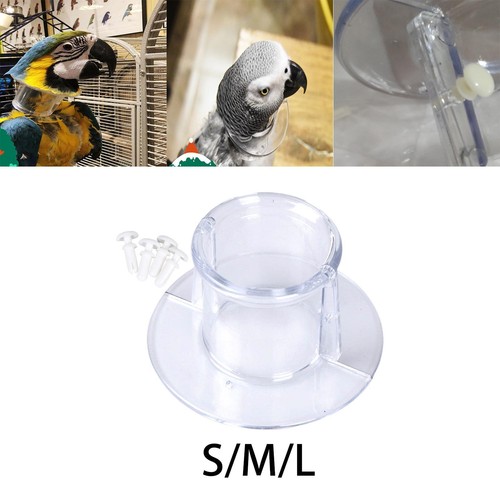 Perroquet perle protection - perroquet,