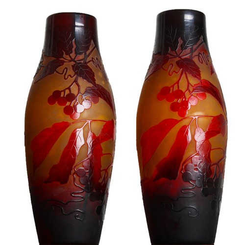 Paire vases vigne - paire, de