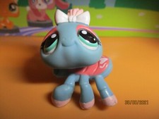 Petshop Araignée #1760