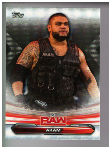 A3749 2019 topps wwe brut - 2019,