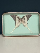 Vintage boîte papillon