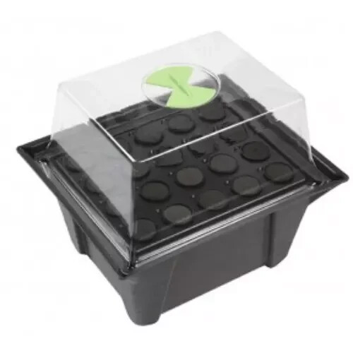 Stream propagator plantes - propagator,