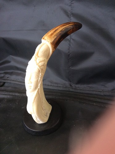 Dent phacochere sculptee - phacochere,
