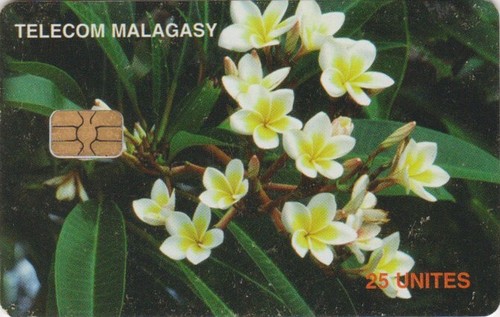 Télécarte madagascar arbre - télécarte,