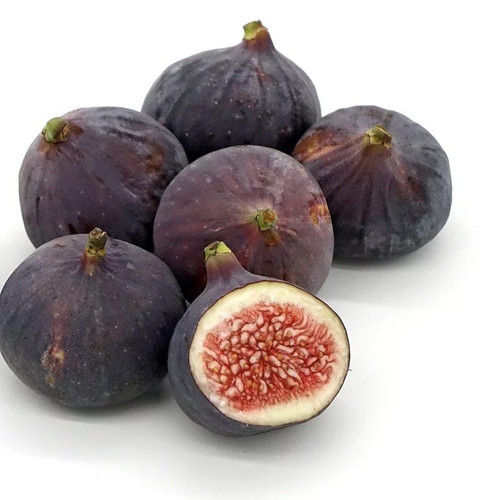 Ficus carica ronde - carica, 'ronde