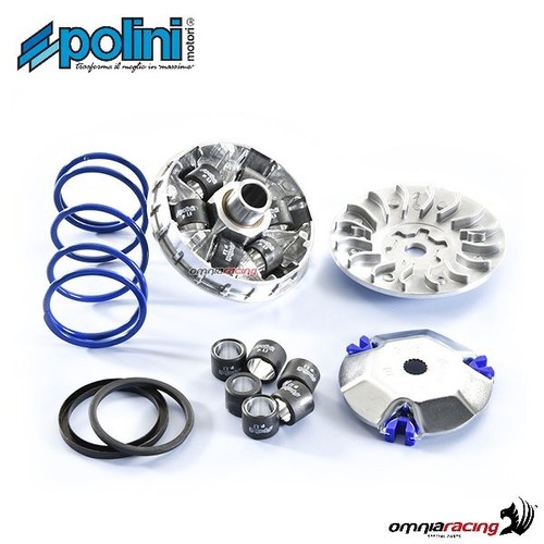 Variateur eau polini - variateur, d'eau