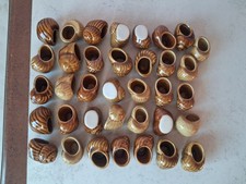 lot 36 coquilles d'escargots