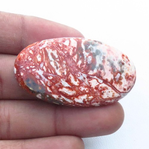 Naturel jaspe rouge cabochon - rouge,