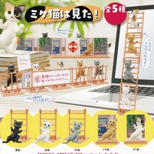 J'ai vu un chat écaille de