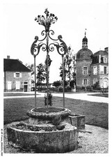 BJ-BFP1-0952-71 - PIERRE-DE-BRESSE - Le puits du chateau