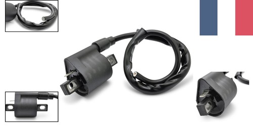 Haute tension bobine allumage - haute,